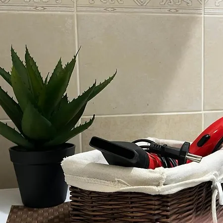 Prestige Apartment Novi Sad